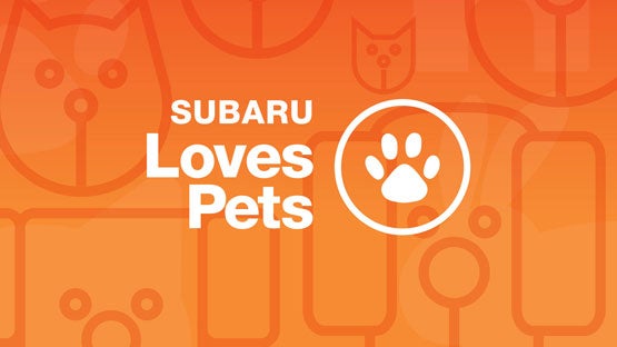 Bergstrom Subaru Green Bay in Green Bay WI