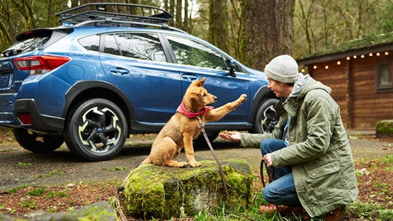 Bergstrom Subaru Green Bay in Green Bay WI