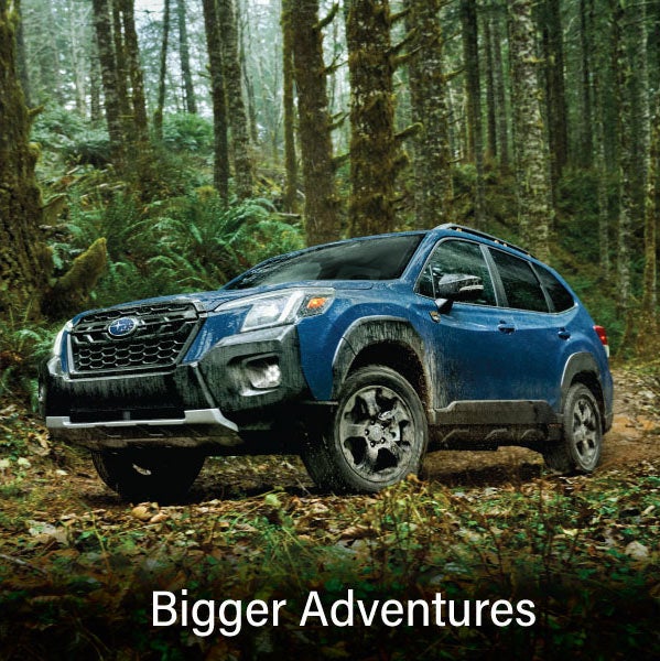 A blue Subaru outback wilderness with the words “Bigger Adventures“. | Bergstrom Subaru Green Bay in Green Bay WI